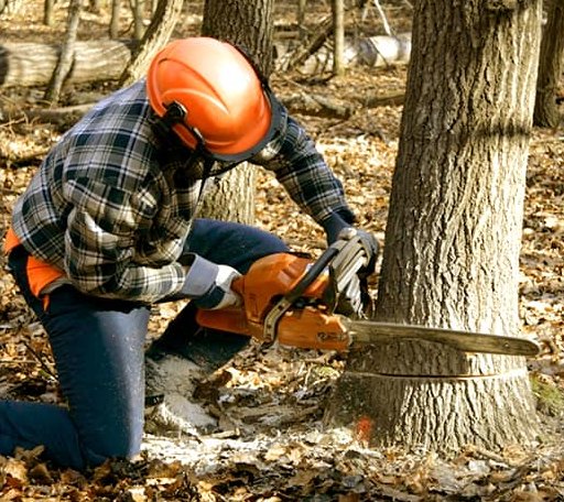 Tree Removal in Atlanta, LA